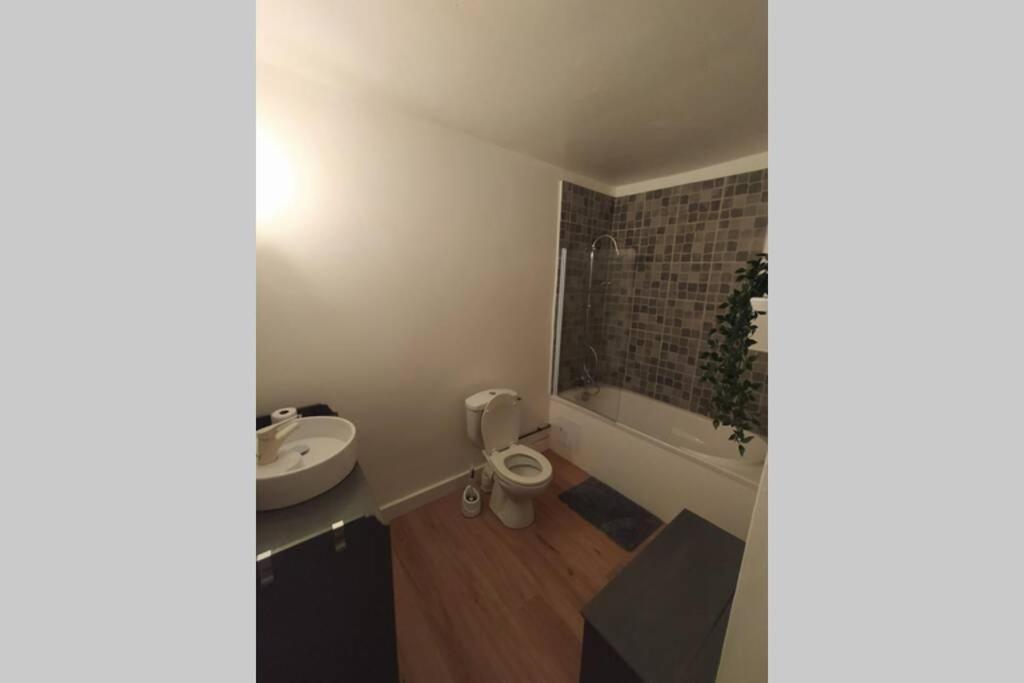 Appartement T2 Cosy Et Chaleureux - 40Mn De Rennes Plumaugat Esterno foto